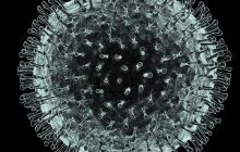 論文和防疫，是一場沒有硝煙的戰(zhàn)爭嗎？