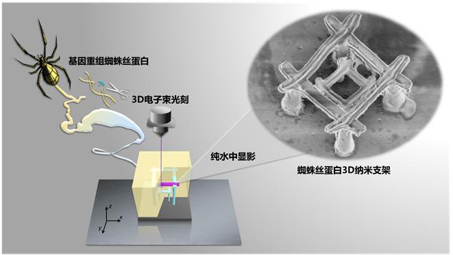 最新突破！中国科学家研发出纳米机器人，材料竟是蜘蛛丝？